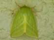 Green silver-lines -- J�gerh�tchen