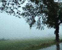 Starker Regen mit
                          Feld