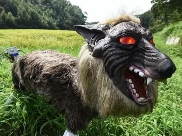 Japan
                          entwickelt einen Roboter-Wolf gegen B�ren am
                          28.12.2024