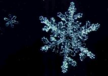 Schneekristall-Mandala
                              dreidimensional