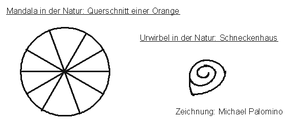 Mandala in der Orange und im
                          Schneckenhaus, Zeichnung