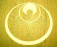 Kornkreis: Engelmandala - crop circle: angel
                    mandala
