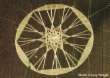 Kornkreis: Strahlenstern im Sechseck -- crop
                    circle: beaming star in hexagon