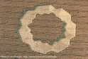 Kornkrei: planetarisches Blumenmandala -- crop
                    circle: planetary flower mandala