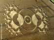 Kornkreis: Energiemandala - crop circle: energy
                    mandala