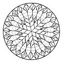 Rosa de fuego en la catedral de
                                Amiens