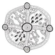 Australia: Abor�genes: Lagartos,
                            insectos y lineas de energ�a