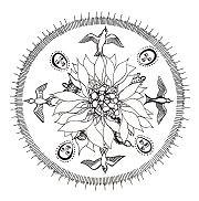 M�ndala de vida: Ascenso de la
                            conocimiento