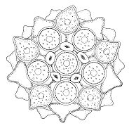 M�ndalas de animales: Alga verde:
                            Estrella vacuo de cabo