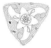 M�ndalas de animales: Ballenas como
                            s�mbolo para la conexi�n entre agua y
                            tierra