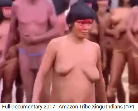 Woman topless, Xingu native woman in the Amazon with hanging breasts