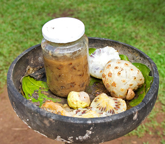 Noni juice in a glass with ripe white noni fruits