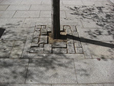 Baumrabatte mit grossen Pflastersteinen
ohne Verfugung (Avenida Alfonso IX) Baumrabatte mit grossen Pflastersteinen
ohne Verfugung (Avenida Alfonso IX)