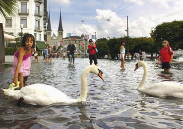 Flood in Switzerland of 2005
                          in Lucerne: swans in the floods at Swiss Court
                          quay (Schweizerhofquai), in the background the
                          court's church (Hofkirche)