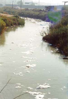 Fluss Rio Nuevo in Mexiko verschmutzt
                        (2003 ca.)