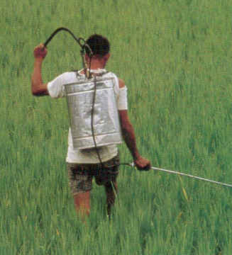 Pestizid durch Handpumpenspritze ohne
                        Schutzmaske. Die eingeatmeten Pestizide
                        ver�ndern das Erbgut...