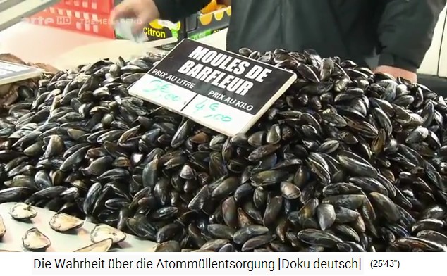 La Hague, Fischmarkt mit radioaktiven Muscheln