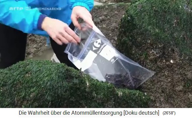 Oostende,
                  Seegrasproben 01