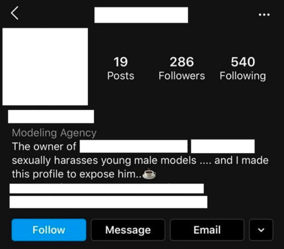 Chat mit dem Vergewaltiger-Model-Agent
                          E.M. auf Instagram