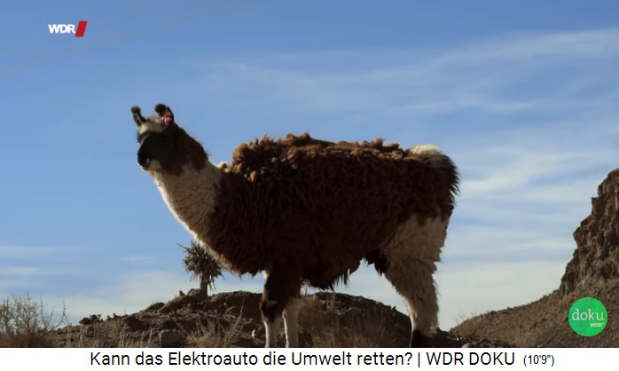 Provinz
Jujuy, Lama 02 Provinz Jujuy, Lama 02