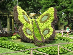 Esculturas de animales de seto, una
                        mariposa gigante con alas en el parque de
                        Leyendas, Lima, Per�