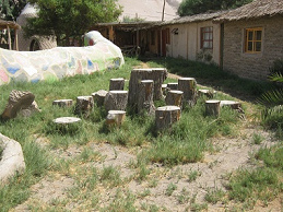 Bolardos para saltar 01 en la granja de
                          Hari Krishna "Eco Truly" en el valle
                          Lluta cerca de Arica en Chile