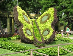 Esculturas de animales
                      de seto, una mariposa gigante con alas en el
                      parque de Leyendas, Lima, Perú