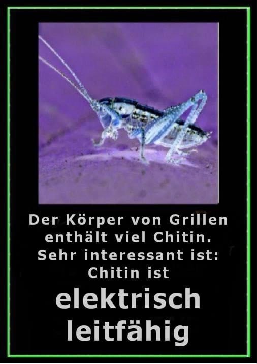 22.2.2023:
                    Chitin von Insekten ist elektrisch leitfähig und
                    unterstützt das Graphenoxid - für den Massenmord
                    durch 5G: "Der Körper von Grillen enthält viel
                    Chitin. Sehr interessant ist: Chitin ist elektrisch
                    leitfähig."