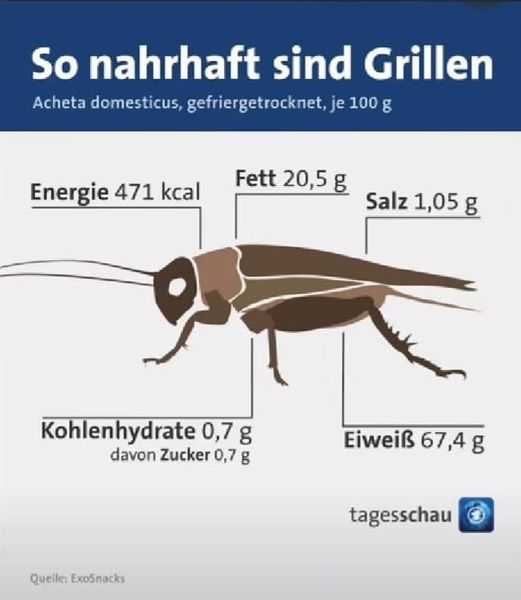 Mossad-ARD am 4.2.2023: Grillen in der
                Tagesschau