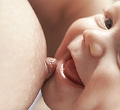 Das Baby zu stillen
                                      heisst auch, dass die Brustwarzen
                                      einem mehr oder weniger grossen
                                      Stress ausgesetzt sind. Es knnen
                                      sich Risse bilden, oder die
                                      Brustwarzen knnen sich entznden.
                                      Beidem gilt es vorzusorgen. Die
                                      Schwangere muss sich das Wissen
                                      aneignen, und banale
                                      Hausmittelchen knnen helfen