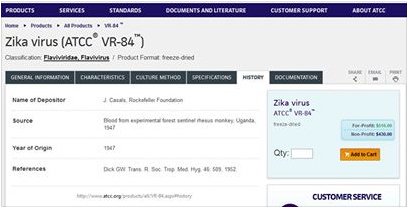 Zika-Virus kann mankaufen, Webseite 02