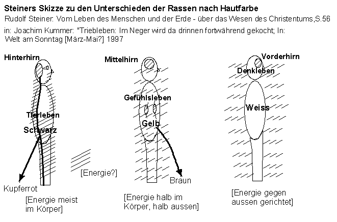 Rassismustheorie von Rudolf Steiner 1923: Nur
                Weisse k�nnen denken