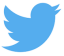 Twitter-Logo