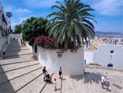 Asozial: Treppe
                ohne Rampe, z.B. Ibiza