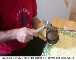 Die
                heisse Kokosnuss wird nun mit einem Hammer sachte
                aufgeschlagen, so dass Risse entstehen