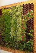 Vertical gardens made of coco fiber
                  scaffolding 02