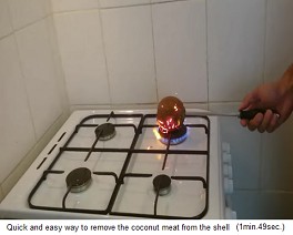 Der
                  Kokosnuss werden die Haare abgebrannt 01