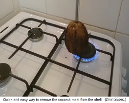 Der
                  Kokosnuss werden die Haare abgebrannt 03