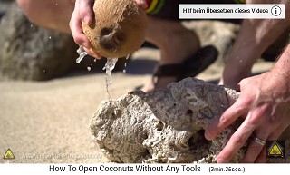 Dabei
                  kommt ein Teil des Kokoswassers raus 02