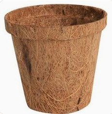 Blumentopf aus gepresster
                  Kokosfaser f�r Setzlinge im Gartenbau