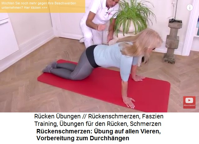 R�ckenschmerzen-�bung
                      1a: Auf allen vieren stehen und das Durchh�ngen
                      vorbereiten