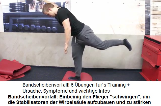 Mit "Fliegerschwingen" kann man
                      die Stabilisatoren der Wirbels�ule aufbauen