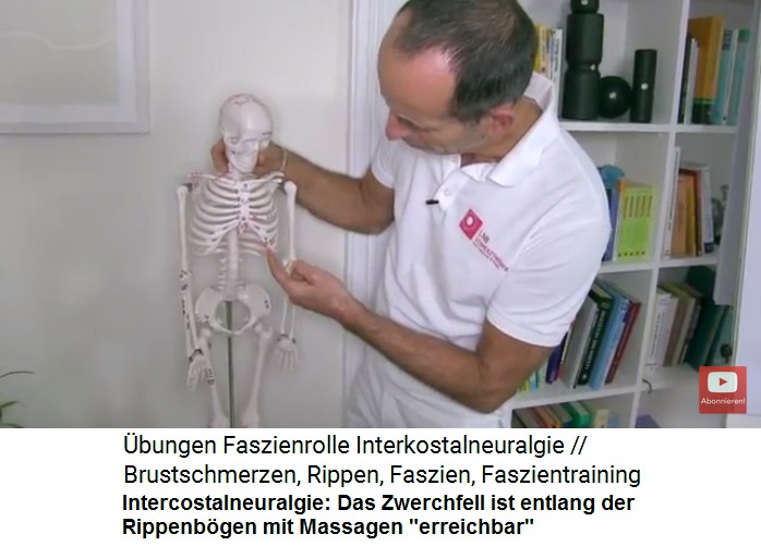 Intercostalneuralgie
                      Video 2: Das Zwerchfell ist mit Massagen vor allem
                      entlang der Rippenb�gen erreichbar