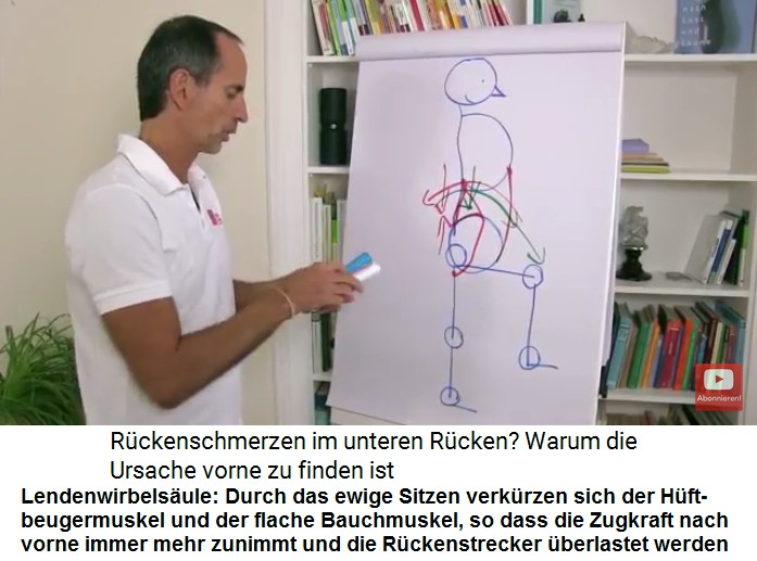 Lendenwirbels�ule: Die ewige
                  Sitzhaltung der "Zivilisation" provoziert
                  die Verk�rzung von H�ftbeuger-Muskeln und die
                  Verk�rzung des flachen Bauchmuskels