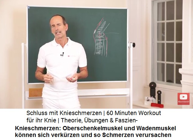 Pionier Liebscher-Bracht mit seiner
                        Zeichnung des Knies mit Oberschenkelstrecker und
                        Wadenmuskel: Oberschenkelmuskel und Wadenmuskel
                        k�nnen sich verk�rzen und so Schmerzen
                        verursachen