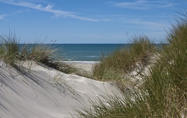 Eine
                      D�ne an der Nordsee barfuss ablaufen