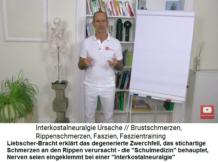 Intercostalneuralgie Video 1: Das
                    degenerierte Zwerchfell provoziert stichartige
                    Schmerzen im Rippenbereich, die
                    "Schulmedizin" behauptet, Nerven seien
                    eingeklemmt und nennt es in falscher Weise
                    "Intercostalneuralgie"