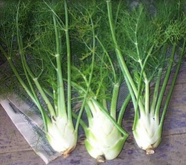 Hinojo con raíz
y hojas Hinojo con raíz y hojas