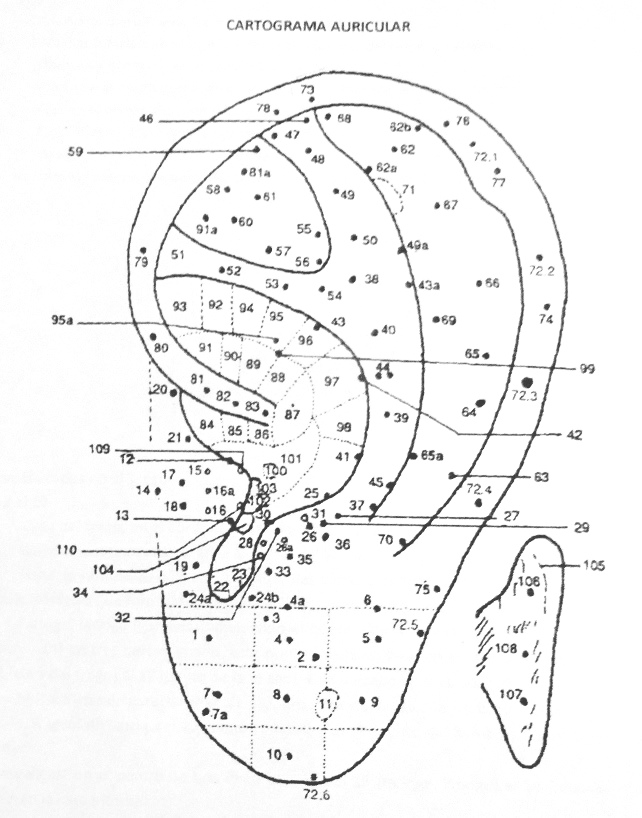 Die
                          Ohr-Nervenpunkte mit der internationalen
                          Nummerierung