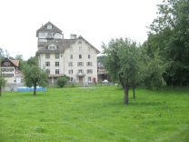 Rue des moulins, da stehen Apfelb�ume auf
                        einer Weide